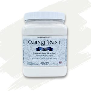 Cabinet Paint
